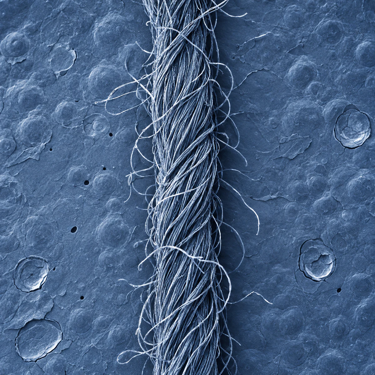 Technical macro of ring-spun yarn with aligned surface fibres