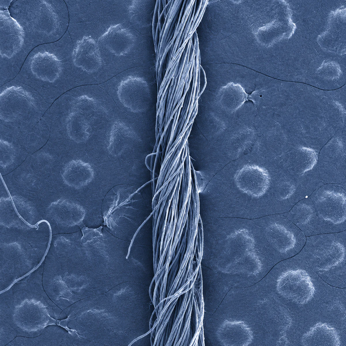 Technical macro of Siro-spun yarn with a compact two-strand structure